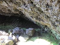 otte Scorciavacca20110306 085